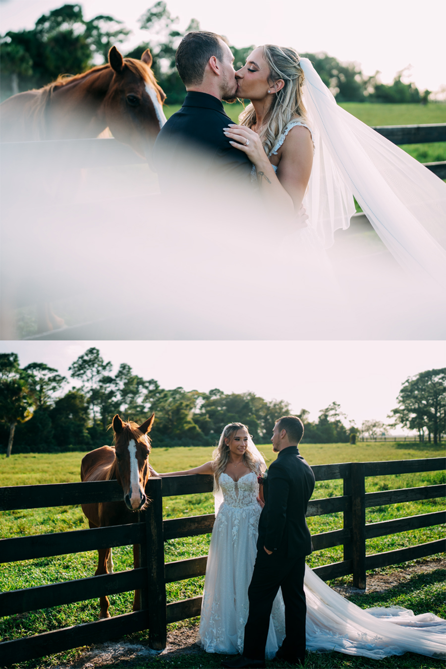 Bride and groom petting a horse at Ever After Farms Ranch wedding in West Palm Beach